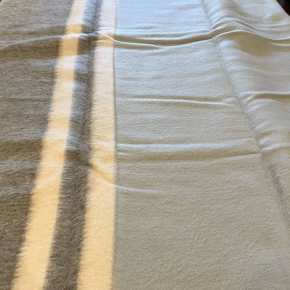 NWT - Alicia Adams Field Blanket